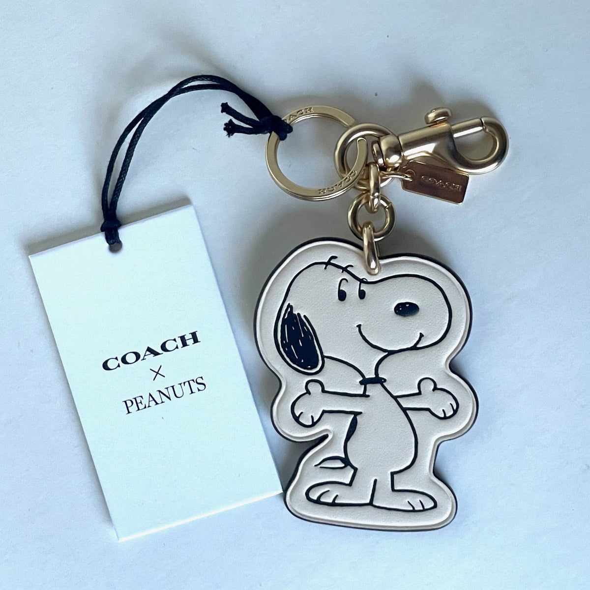 CoachxPeanuts2025SnoopyChalkLe