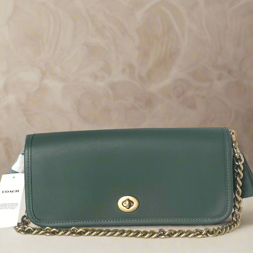 Green Coach handbag with gold chain on a white background