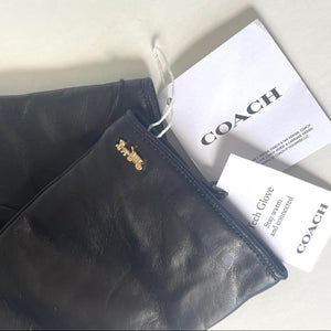 Black leather glove with Coach tag on a light background