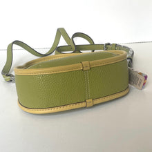 Load image into Gallery viewer, Green leather dog collar with beige accents on a white background