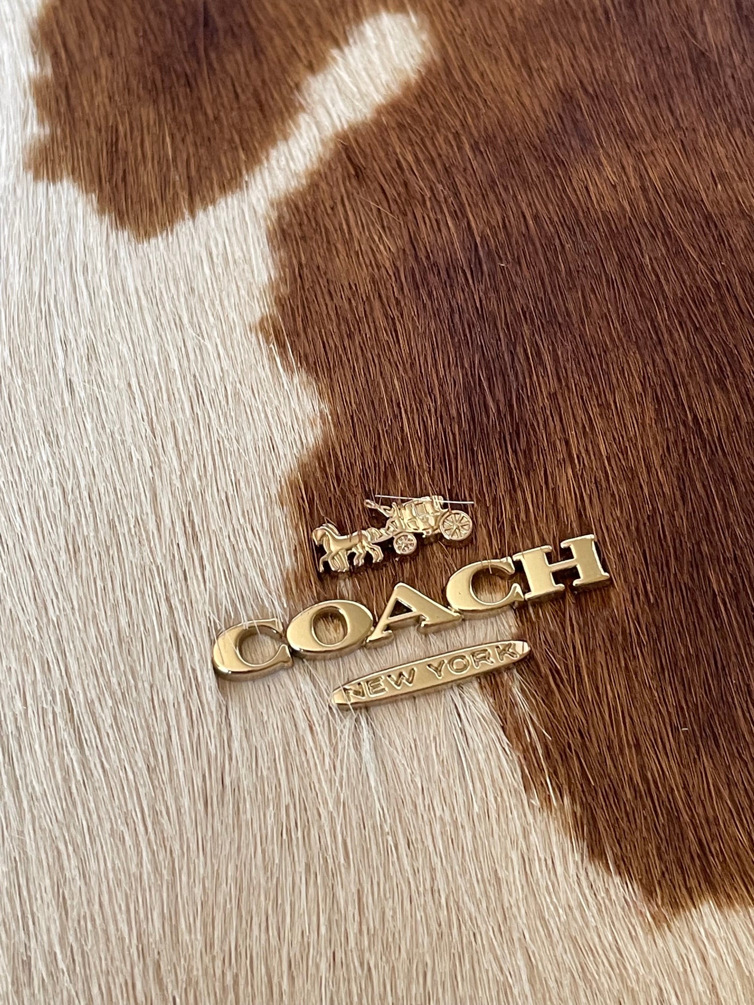 Load image into Gallery viewer, Coach Ashton Wristlet CDY07 Haircalf Cow Print Leather Clutch Brown
