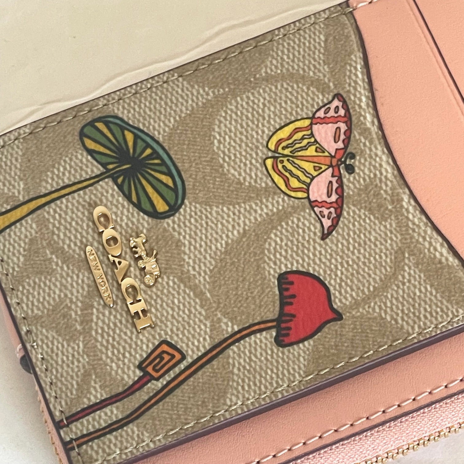 Coach Crossbody Pouch in Signature Canvas with Ms Pack Man