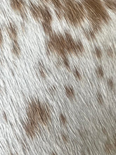 Load image into Gallery viewer, A close-up texture shot of cowhide hair with a white base and brown spots.