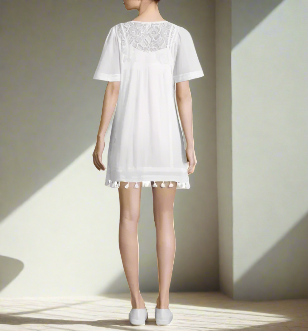 Joie Women's Ralston Cotton Embroidered Dress - Porcelain