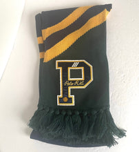Load image into Gallery viewer, Polo Ralph Lauren Polo College Patch Wool Blend Scarf Blue Green Yellow Sport