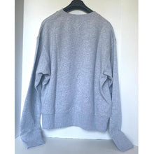 Load image into Gallery viewer, Gray sweatshirt on a hanger against a white background