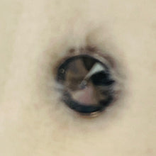 Load image into Gallery viewer, Close-up of a cat's face looking out from a round hole in a light-colored wall.