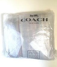 Load image into Gallery viewer, Coach Brooklyn Shoulder Bag 34 CDZ40 Multicolor Woven Leather Hobo