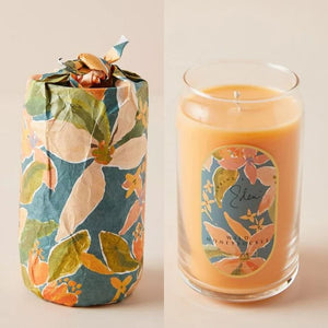 Anthropologie Eden Illume 4 X 52 HR Soy Blend Wrapped Glass Candle, 4 Scents